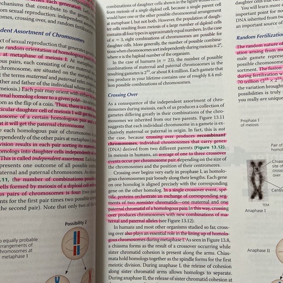 BIOLOGY • Eighth Edition • Campbell and Reece - Picture 3 of 3